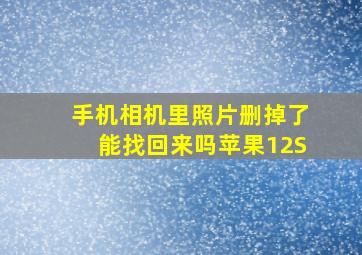 手机相机里照片删掉了能找回来吗苹果12S