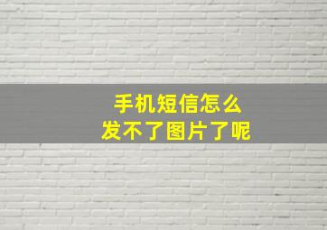 手机短信怎么发不了图片了呢