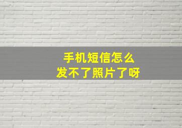 手机短信怎么发不了照片了呀