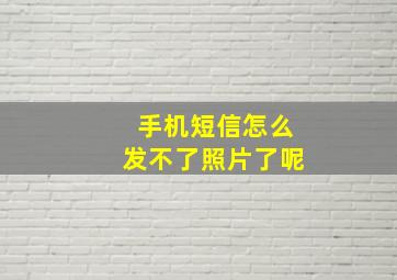 手机短信怎么发不了照片了呢