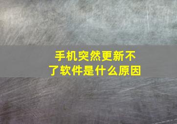 手机突然更新不了软件是什么原因