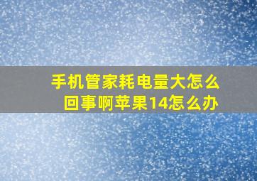 手机管家耗电量大怎么回事啊苹果14怎么办