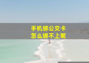 手机绑公交卡怎么绑不上呢