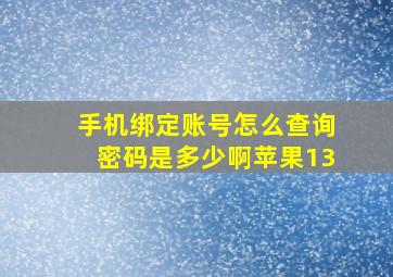 手机绑定账号怎么查询密码是多少啊苹果13