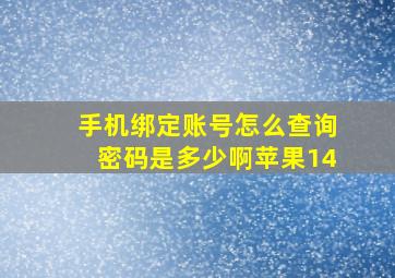 手机绑定账号怎么查询密码是多少啊苹果14