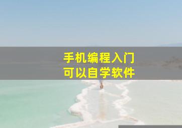 手机编程入门可以自学软件