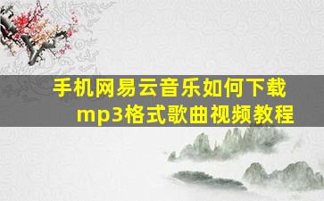 手机网易云音乐如何下载mp3格式歌曲视频教程