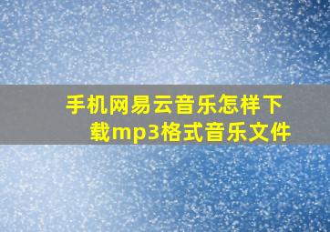 手机网易云音乐怎样下载mp3格式音乐文件