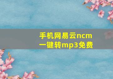 手机网易云ncm一键转mp3免费