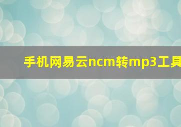 手机网易云ncm转mp3工具