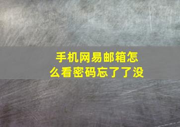 手机网易邮箱怎么看密码忘了了没