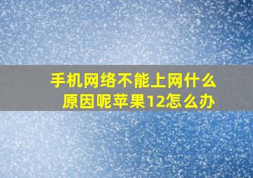 手机网络不能上网什么原因呢苹果12怎么办