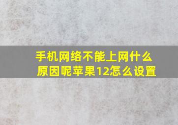 手机网络不能上网什么原因呢苹果12怎么设置