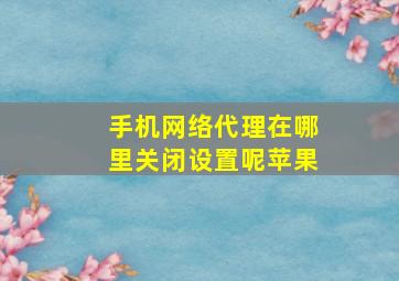 手机网络代理在哪里关闭设置呢苹果