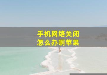 手机网络关闭怎么办啊苹果