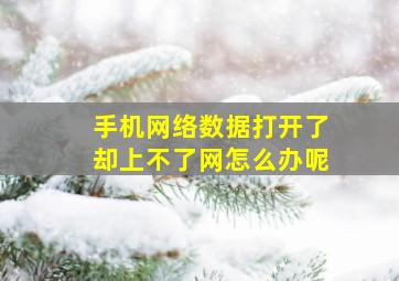 手机网络数据打开了却上不了网怎么办呢