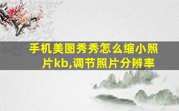 手机美图秀秀怎么缩小照片kb,调节照片分辨率