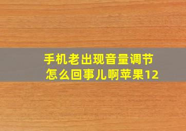 手机老出现音量调节怎么回事儿啊苹果12