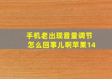 手机老出现音量调节怎么回事儿啊苹果14