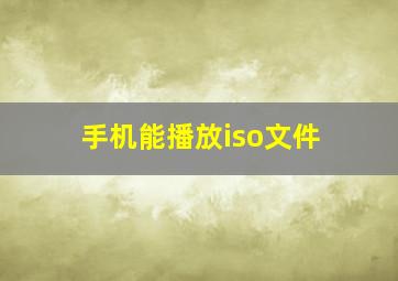 手机能播放iso文件