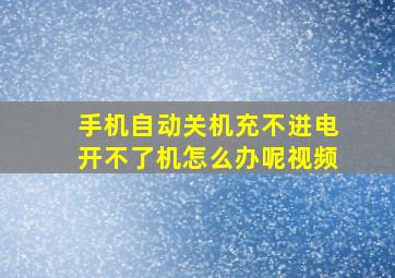 手机自动关机充不进电开不了机怎么办呢视频