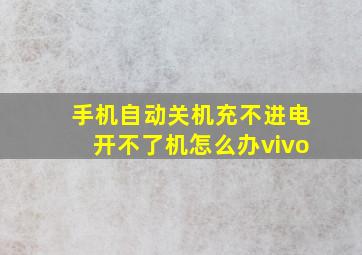 手机自动关机充不进电开不了机怎么办vivo