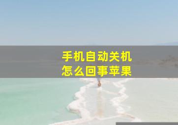 手机自动关机怎么回事苹果