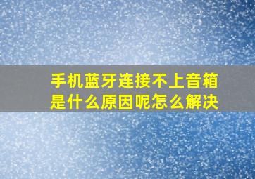 手机蓝牙连接不上音箱是什么原因呢怎么解决