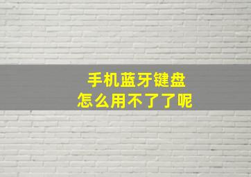 手机蓝牙键盘怎么用不了了呢