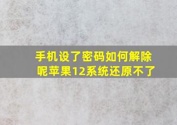 手机设了密码如何解除呢苹果12系统还原不了