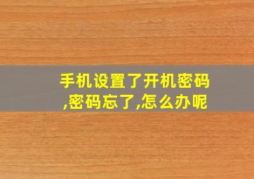 手机设置了开机密码,密码忘了,怎么办呢