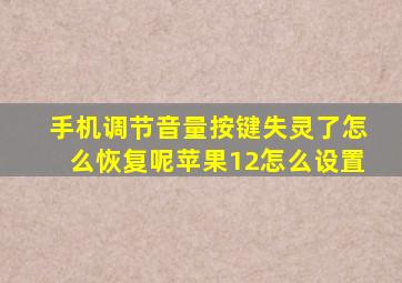 手机调节音量按键失灵了怎么恢复呢苹果12怎么设置