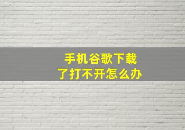 手机谷歌下载了打不开怎么办