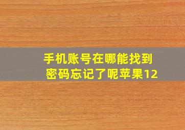 手机账号在哪能找到密码忘记了呢苹果12