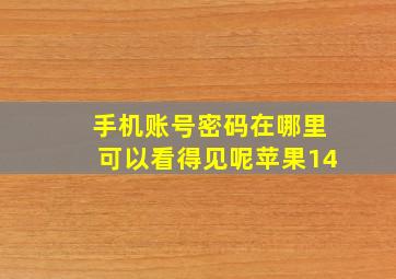 手机账号密码在哪里可以看得见呢苹果14