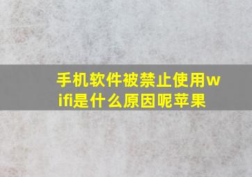 手机软件被禁止使用wifi是什么原因呢苹果