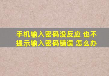 手机输入密码没反应 也不提示输入密码错误 怎么办