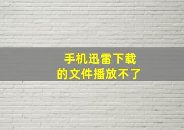 手机迅雷下载的文件播放不了