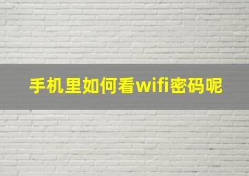 手机里如何看wifi密码呢