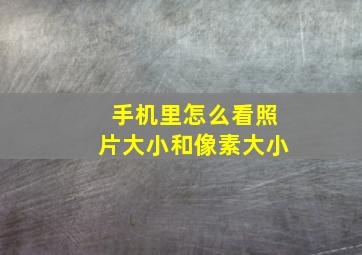 手机里怎么看照片大小和像素大小