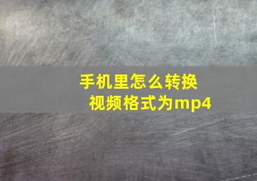 手机里怎么转换视频格式为mp4