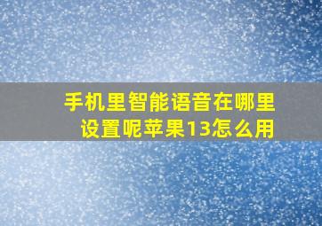 手机里智能语音在哪里设置呢苹果13怎么用