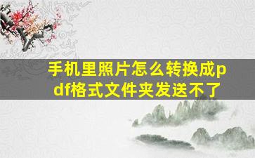 手机里照片怎么转换成pdf格式文件夹发送不了