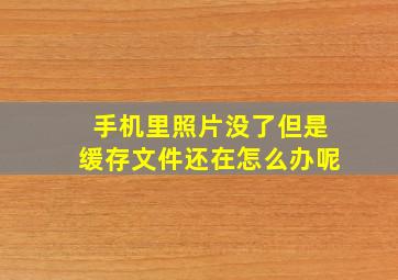 手机里照片没了但是缓存文件还在怎么办呢