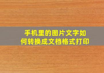 手机里的图片文字如何转换成文档格式打印