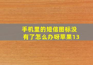 手机里的短信图标没有了怎么办呀苹果13