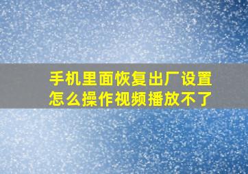 手机里面恢复出厂设置怎么操作视频播放不了