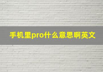 手机里pro什么意思啊英文