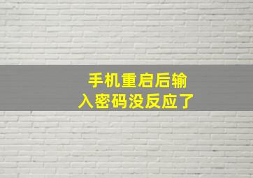 手机重启后输入密码没反应了