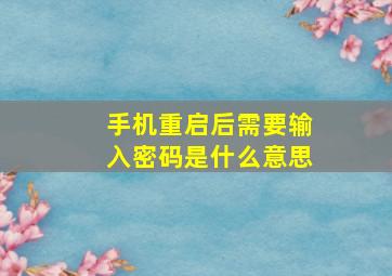 手机重启后需要输入密码是什么意思